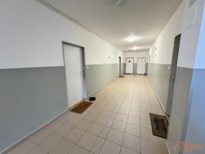 Pronájem bytu 1+kk, Holubice, Platanová, 48 m2