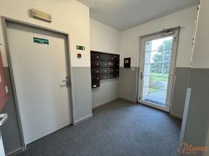 Pronájem bytu 1+kk, Holubice, Platanová, 48 m2