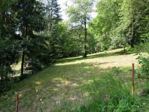 Prodej zahrady, Stříbrná Skalice, osada Spálený, 1015 m2