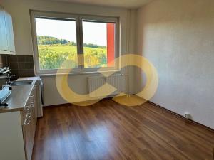 Pronájem bytu 1+kk, Český Krumlov, Urbinská, 18 m2