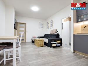 Prodej bytu 3+kk, Velemín - Oparno, 43 m2