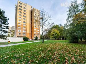 Pronájem bytu 1+kk, Bohumín, Svat. Čecha, 28 m2