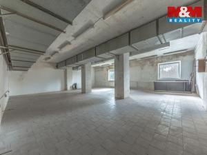 Prodej výrobních prostor, Jičín - Popovice, 5996 m2