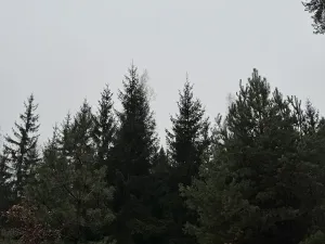 Prodej pozemku, Veliny, 50855 m2