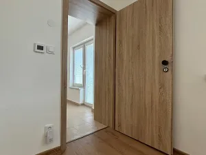 Pronájem bytu 3+1, Olomouc, Litovelská, 120 m2
