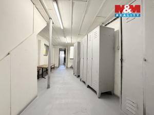 Pronájem garáže, Kladno - Kročehlavy, Úzká, 192 m2