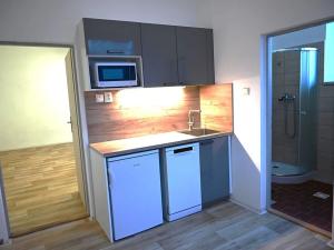 Pronájem výrobních prostor, Bílovice nad Svitavou, Obřanská, 249 m2