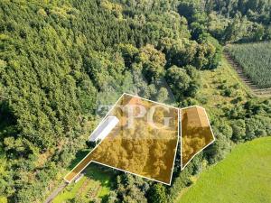 Prodej vícegeneračního domu, Deštnice, 530 m2