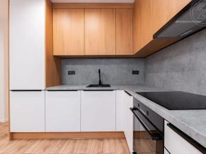 Prodej bytu 3+kk, Most, Josefa Skupy, 54 m2