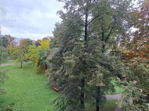 Pronájem bytu 1+1, Ostrava, Hornopolní, 35 m2