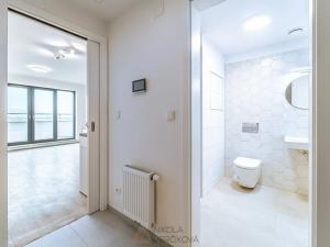 Pronájem bytu 1+kk, Brno, Opuštěná, 29 m2