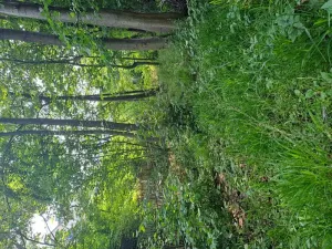 Prodej pozemku, Rožnov pod Radhoštěm, 126 m2