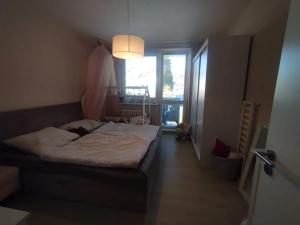 Pronájem bytu 2+1, Jeseník, Dukelská, 55 m2