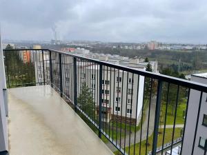 Pronájem bytu 1+kk, Plzeň, Pecháčkova, 47 m2