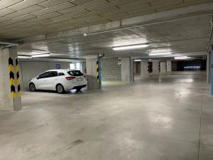 Pronájem bytu 1+kk, Plzeň, Pecháčkova, 47 m2