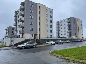 Pronájem bytu 1+kk, Plzeň, Pecháčkova, 47 m2