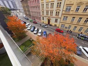 Prodej bytu 3+kk, Praha - Žižkov, Lupáčova, 66 m2