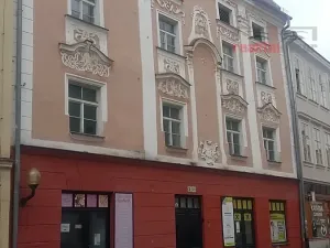 Prodej domu, Jihlava, Palackého, 490 m2