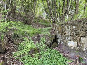 Prodej pozemku pro bydlení, Mírová pod Kozákovem, 1851 m2