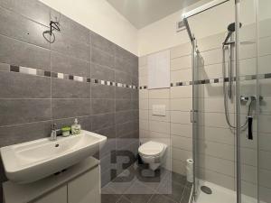 Pronájem bytu 1+kk, Polná, Pojmannova, 33 m2