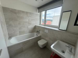 Pronájem bytu 3+kk, Liberec, Boženy Němcové, 77 m2