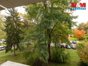 Prodej bytu 3+kk, Ostrava - Poruba, Sokolovská, 64 m2