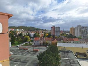 Prodej bytu 2+kk, Litoměřice - Předměstí, Dukelská, 41 m2