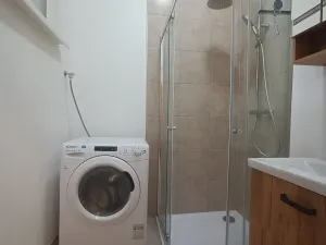 Pronájem bytu 1+1, Brno, Špitálka, 45 m2