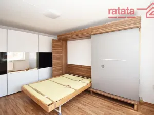 Pronájem bytu 1+1, Chomutov, Karla Buriana, 36 m2