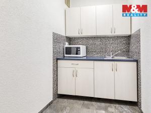 Pronájem kanceláře, Plzeň - Severní Předměstí, alej Svobody, 20 m2