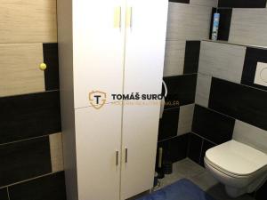 Pronájem bytu, Hvozdná, Sokolská, 21 m2