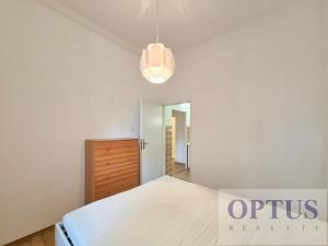 Pronájem bytu 2+1, Praha - Žižkov, Ondříčkova, 43 m2