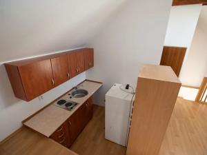 Pronájem bytu 1+kk, Plzeň, Bolevecká náves, 46 m2