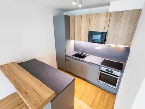 Prodej bytu 3+kk, Praha - Žižkov, Seifertova, 70 m2