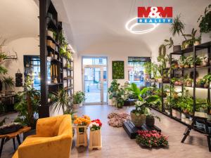 Pronájem obchodního prostoru, Pardubice - Zelené Předměstí, 17. listopadu, 96 m2