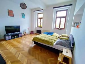 Pronájem bytu 1+1, Písek, Komenského, 42 m2