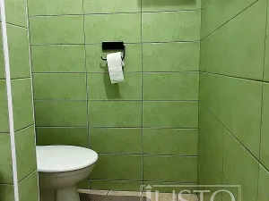 Pronájem bytu 1+1, Písek, Komenského, 42 m2