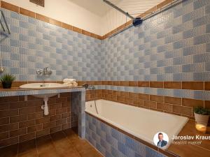 Prodej rodinného domu, Hořice, Třešňová, 238 m2