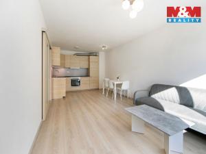 Pronájem bytu 2+kk, Plzeň - Východní Předměstí, Slovanská, 55 m2