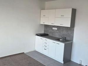 Pronájem bytu 1+kk, Praha - Kamýk, U Kamýku, 32 m2
