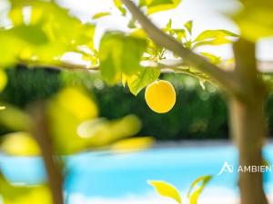 Prodej vily, Šanov, 974 m2