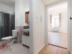 Pronájem bytu 1+kk, Ostrava, Palackého, 26 m2