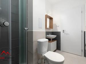 Pronájem bytu 1+kk, Ostrava, Palackého, 26 m2