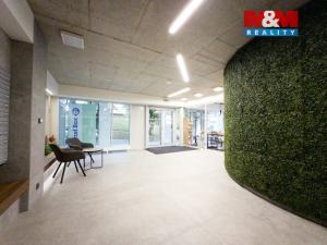 Pronájem bytu 1+kk, Zlín, Nad Stráněmi, 34 m2