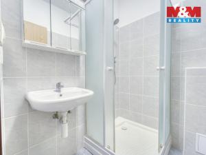 Pronájem bytu 2+1, Plzeň, Nepomucká, 55 m2