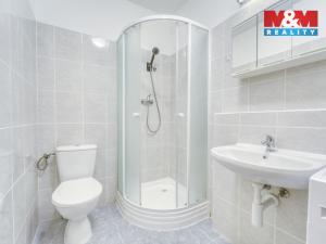 Pronájem bytu 2+1, Plzeň, Nepomucká, 55 m2