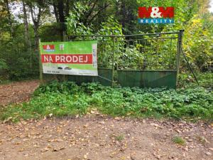 Prodej pozemku pro bydlení, Soutice, 338 m2