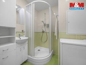 Prodej bytu 2+kk, Praha - Nusle, Plamínkové, 40 m2