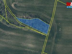 Prodej lesa, Drahobuz, 1252 m2