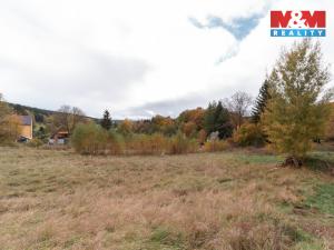Prodej pozemku pro bydlení, Podhradí, 1006 m2